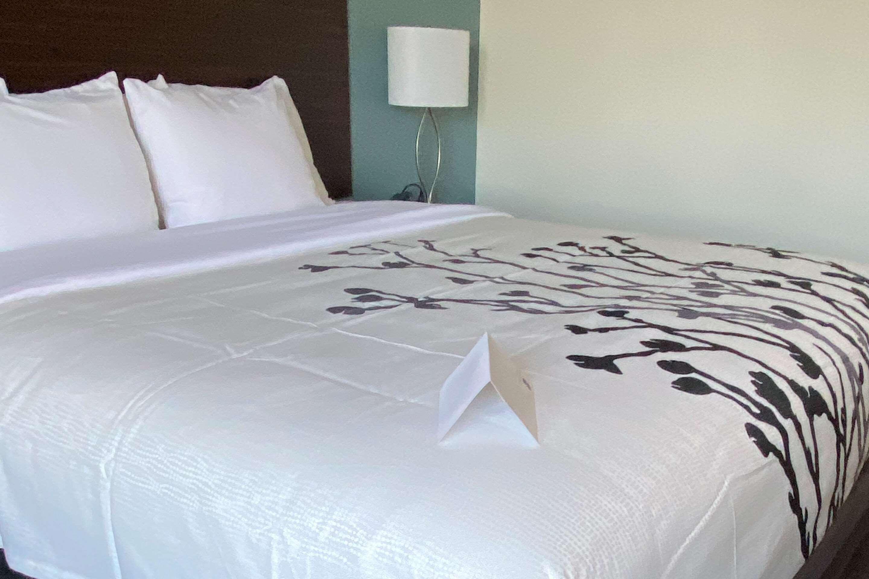 Hotel Wingate By Wyndham Kings Bay Naval Base I-95 Kingsland Esterno foto